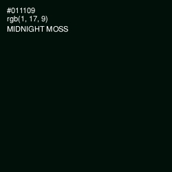 #011109 - Midnight Moss Color Image